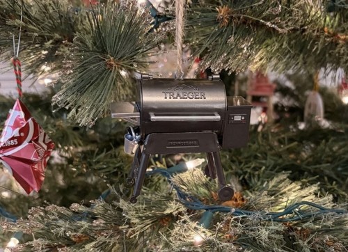 Traeger ironwood 885 grill - ironwood, grill/